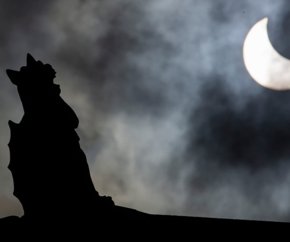 A Gargoylian Dance: The Enchanting Annular Eclipse in Asheville, North Carolina