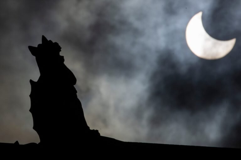 ASHEVILLE PHOTOGRAPHY SOLAR ECLIPSE